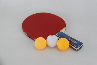 学生 乒乓球拍 正品 娱乐拍 体育用品